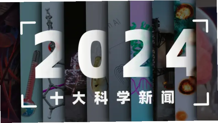如何避开NBA季后赛？这一时段减少场馆与健康风险